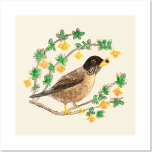 Beautiful wild thrush (bird) in watercolor for nature lovers Posters and Art